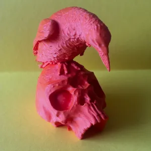Halloween skull with raven