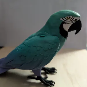 parrot bird