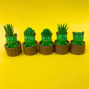 Cat Plants And Pots