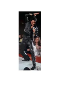 Elvis in the Spotlight