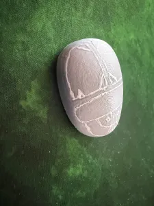 Scarabaeus