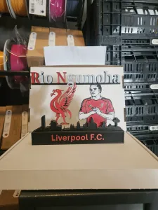 Premier League - Liverpool FC Rio Ngumoha display