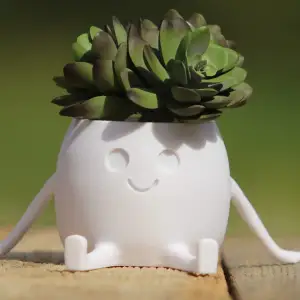 Happy Pot - Succulent Planter