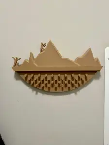 Wall Mounted Medallion Display