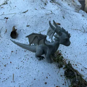 Winter Dragon young