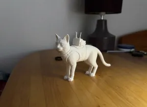 Cat from Stray 3D Model