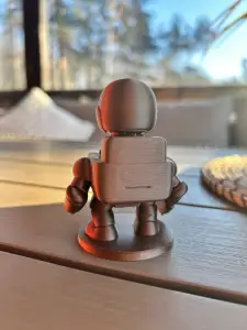 Robot-Pilot