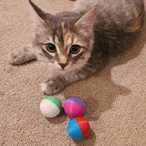 Easy Print Cat Balls! use up your extra scraps! only 13g per