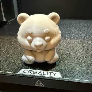 Kodiak Bear