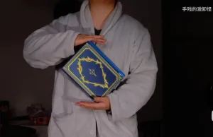 鸣潮菲比笔记本