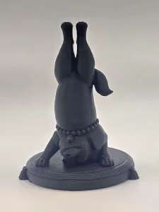 Zen Dog: Australian Shepherd Headstand