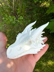 Dragon skull, fantasy dragon