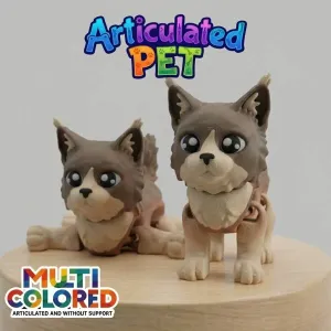 Maine Coon Cat - Articulated Multicolor
