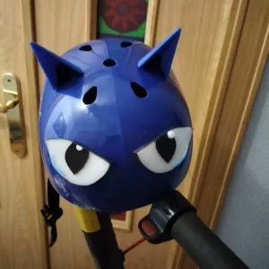 Cat Eye Helmet.