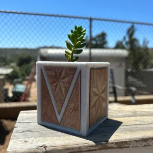 Square planter with inserts