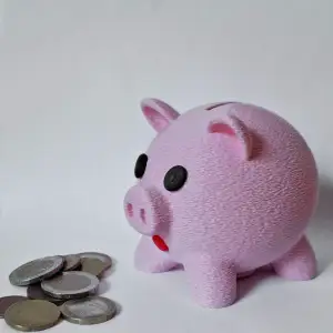 piggy bank