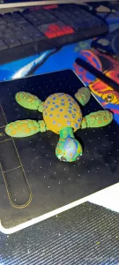 tortuguita
