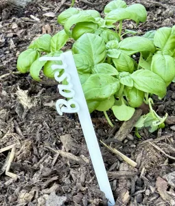 Vegetable Garden Plant Picks - Multi-Color!
