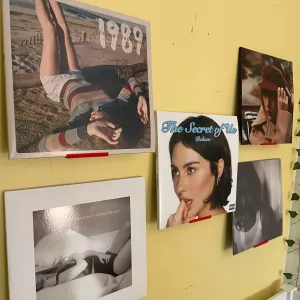 Wall Mounted Record Holder