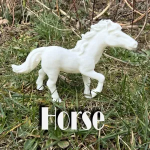 Thoroughbred horse at a walk
