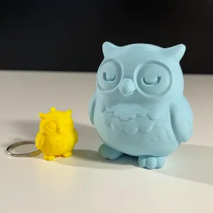 Cute Owl