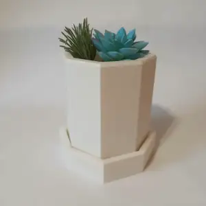 ocpot maceta