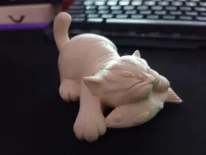 🐱 Sleeping Cat on Fish