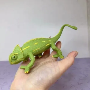 变色龙 变色蜥蜴