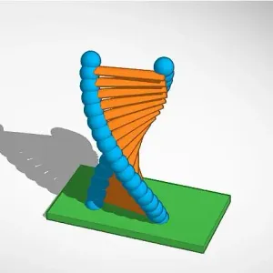 Dna Sarmalı