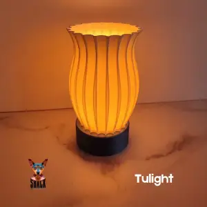 Tulight Lamp!
