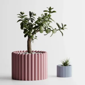 Plant Pot Planter Rounded 1