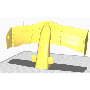 f1 wing