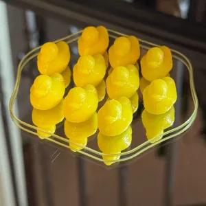 Mini Magnetic Cruise Duck