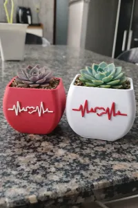 Heartbeat Plant Pot