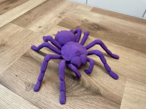 Tarantula Spider