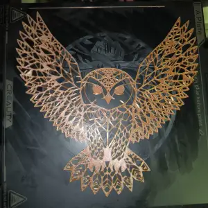 Owl Picture