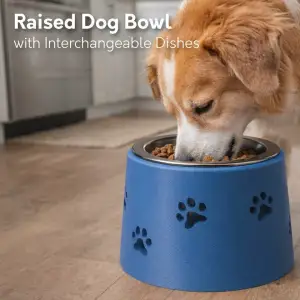 Raised Dog Bowl with Interchangeable Dishes