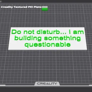 Do not disturb I am building something questionable