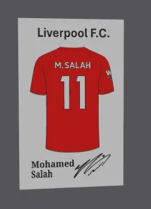 Liverpool FC Mohamed Salah jersey display