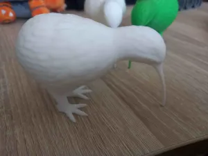 Kiwi Bird