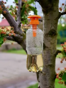Wasp trap long