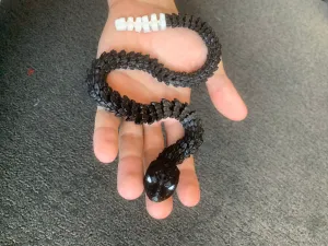 Articulated Snake with two colours