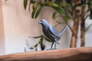 The Bird