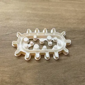 Cortante de Galleta Bacteria