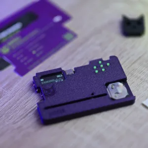 KIISU V4b case