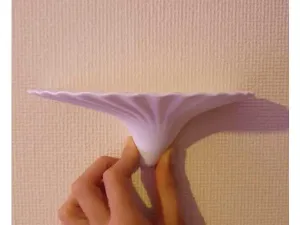 Shelf Mushroom