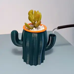Self-watering Cactus Pot, Vase Decor