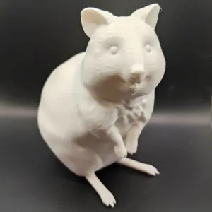 Quokka - Solid Model