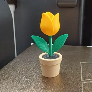 A cheerful tulip that never stops blooming