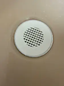 Plug / Drain Hair Catcher / Filter